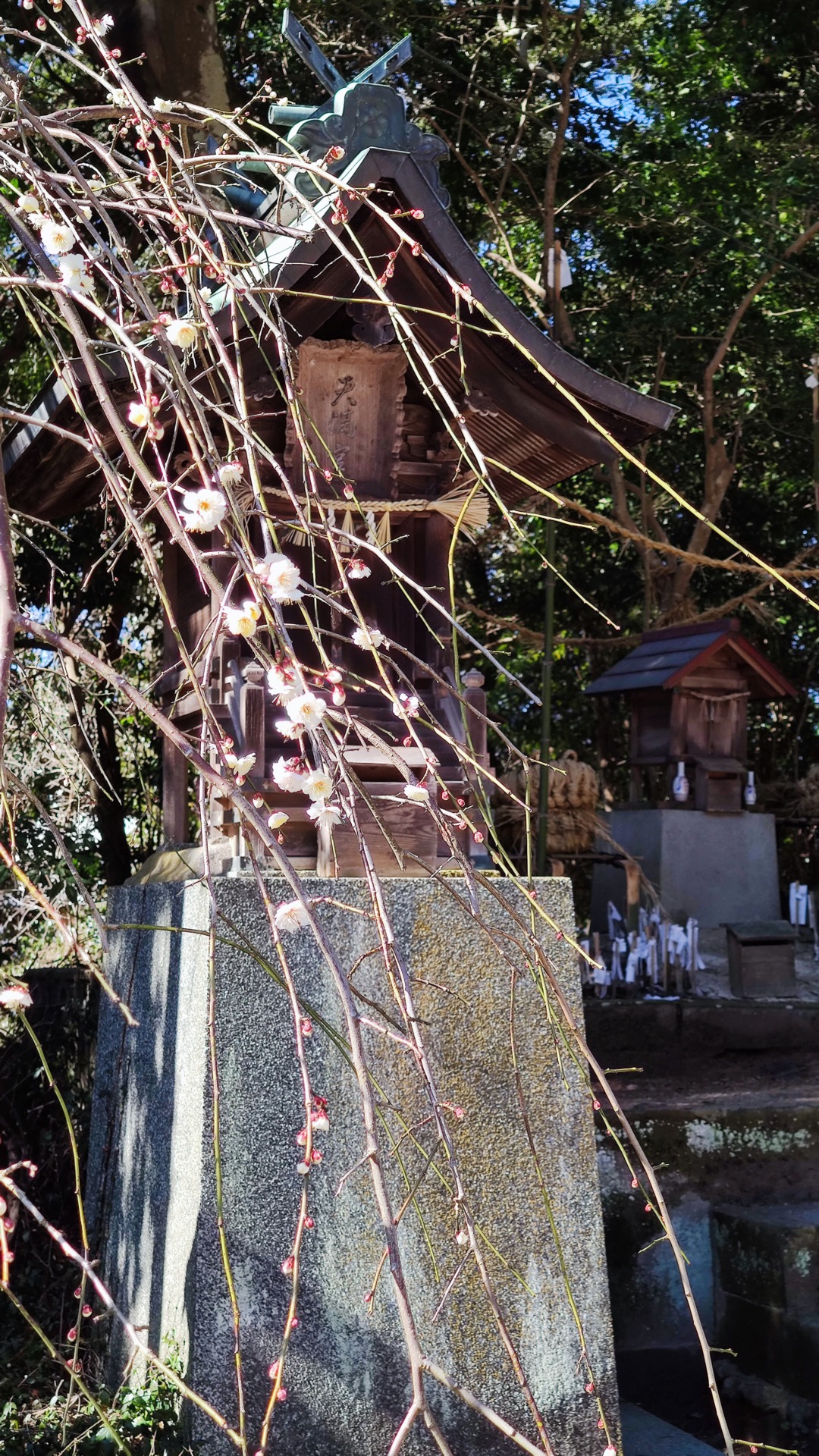 春を迎える揖夜神社 東出雲公民館